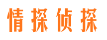 米东侦探公司